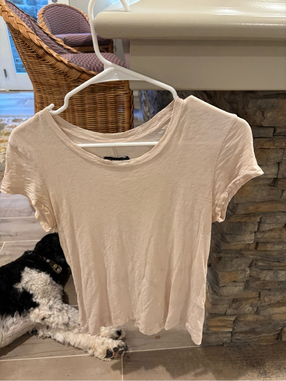 rag & bone Short Sleeve Crewneck Tee in Light Blush